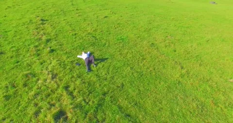 Low orbital flight around man on green grass with notebook pad at yellow rural Stock Footage 290442025