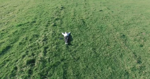 Low orbital flight around man on green grass with notebook pad at yellow rural Stock Footage 291783700