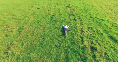 Low orbital flight around man on green grass with notebook pad at yellow rural Stock Footage 294488895