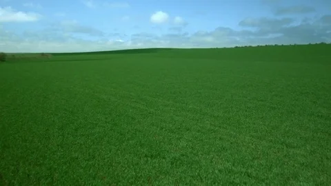 Low over green field 動画素材 83185709