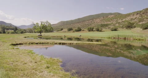 Low panning on calm pond in meadow in Colorado mountains in summer Stock Footage 204053976
