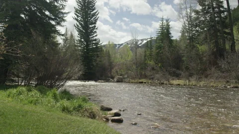 Low panning on side of river in Aspen in summer Vidéo 141624789