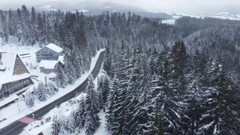 A low pass fly along a Snowy Road Through the Carpathian Winter Wonderland Stock Footage 228167201