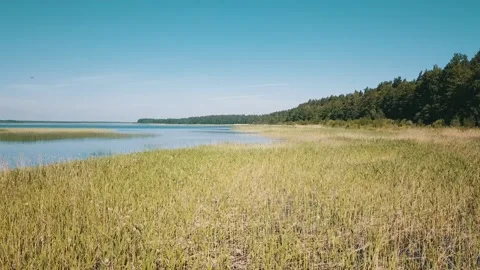 A low-pass over a lake in the forest Stock Footage 146700914