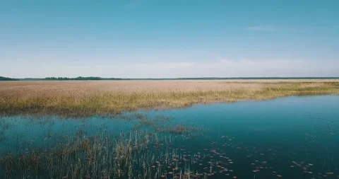 A low-pass over a lake in the forest. Stock Footage 146700924