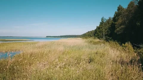 A low-pass over a lake in the forest on a warm sunny day Stock Footage 146700934