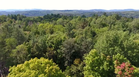Low Pass Over the Trees in the Northeast Kingdom of Vermont Stockbeeldmateriaal 67342628