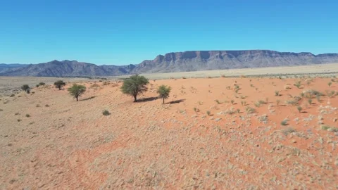 Low pass red sand dune ridge between short dry grass landscape, mountains behind Stock Footage 256079961