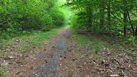 Low up path 5-27-26 Video stock 345450929