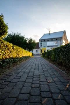 Low perspective of a cobbled sidewalk between bushes leading to houses Foto stock