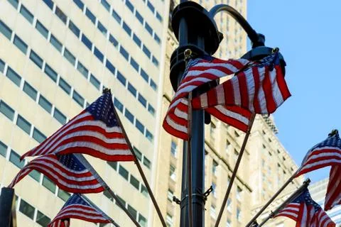 Low perspective on rows of American flags waving in the wind and hanging the Stock Photos