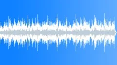 Low Pizzazz Acoustic Folk and Country Music Background Music in G major Stock Music