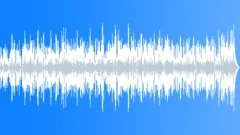 Low Pizzazz Deluxe Folk and Country Music BGM with No solo instrument Stock Music