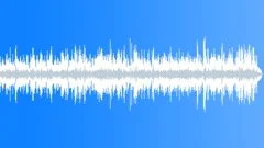 Low Pizzazz Intimate Acoustic Incidental BGM Stock Music