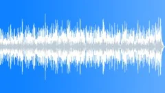 Low Pizzazz Splendid Acoustic Folk and Country Music Incidental Underscore Stock Music