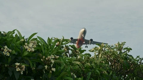 Low the plane flies 動画素材 104111008