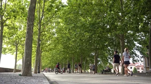 Low point of view of the ancient walls of lucca (tuscany, italy)  Stock Footage 138462936