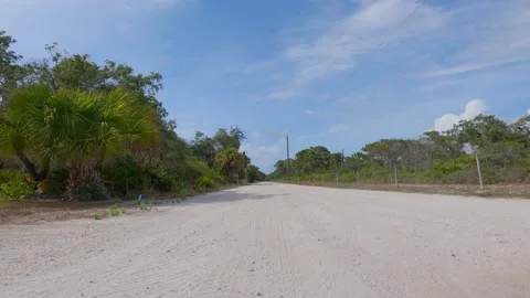 Low point of view on a nature trail. Stock Footage 155293464