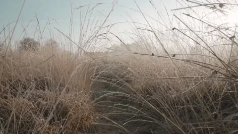 A low point of view shot where the camera pans through a frozen hig Stock Footage 238046077