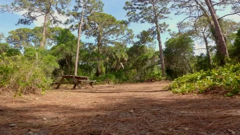 Low point of view trail video! Stock Footage 155258781