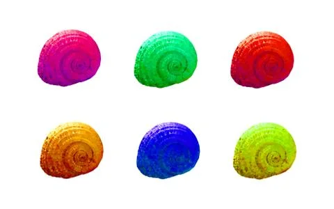 Low poli shell set different colors, geometric shape of triangles. Vector. Stock Illustration