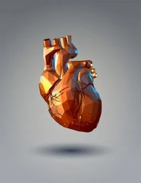 Low poly 3D human heart on gray background Illustrazione stock