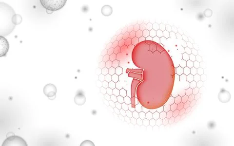 Low poly 3D human kidney shield protect. Medicine recovery technology drug Stock-Illustration