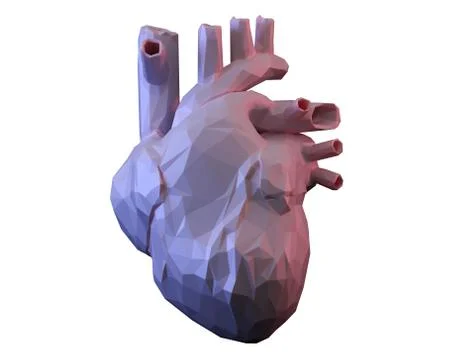 Low poly anatomical heart Stock Illustration
