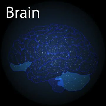 Low poly brain or Artificial intelligence concept, Low poly abstract digital  Stock Illustration