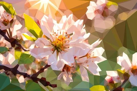 Low poly cartoon flowers of cherry blooms tree Stock Illustration