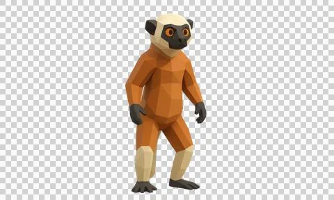 Low poly crowned lemur standing upright with orange body and white head on .. Stock Illustration