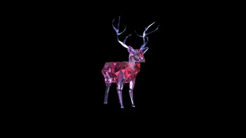 Low Poly Deer of Glass Material on Black Background. Loop Stock Footage 103099479