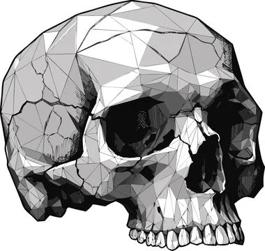 Low poly geometric human skull illustration with a modern artistic style design Stock Illustration
