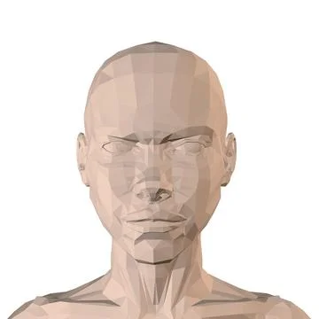 Low poly girl head isolated on white background. Angry facial expression. Fro Stock Illustration
