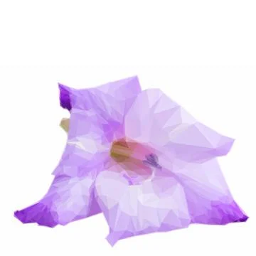 Low poly gladiolus flowers Stock Illustration
