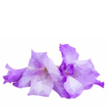 Low poly gladiolus flowers Stock Illustration