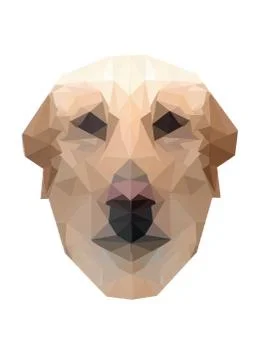 Low Poly Golden Labrador Illustrazione stock