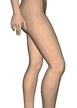Low poly model of female legs and arms in a sexy pose isolated on white Illustrazione stock