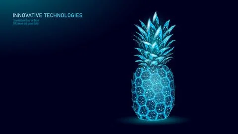 Low poly pineapple illustration. Polygonal fruit digital graphic design. Food Stock Illustration