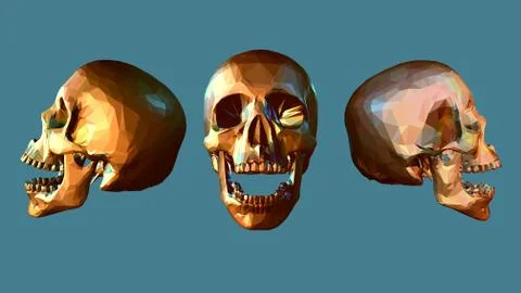 Low poly skull in various view Illustrazione stock