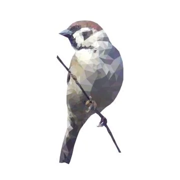 Low poly sparrow Stock Illustration