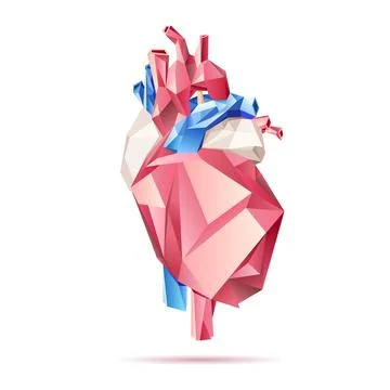 Low poly style isolated anatomical heart in red, blue and white colors on the Illustrazione stock