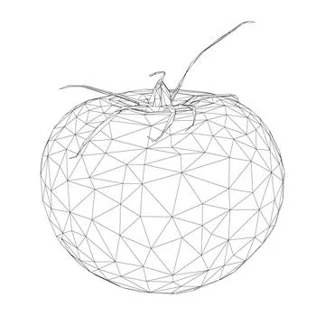 Low poly tomato wireframe from black lines isolated on white background. 3D. Stock Illustration