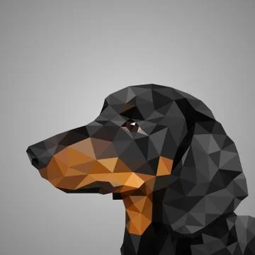 Low poly vector dog dachshund Stock-Illustration