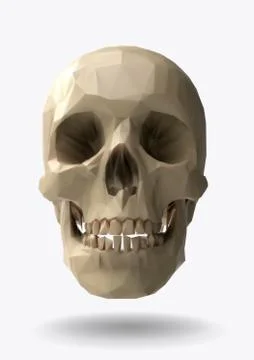 Low poly vector skull front view in 3d realistic look Illustrazione stock