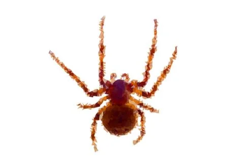 Low poly vector spider Illustrazione stock