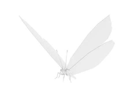 Low Poly White Butterfly isolated on white background. 3d illustration Stock Illustration