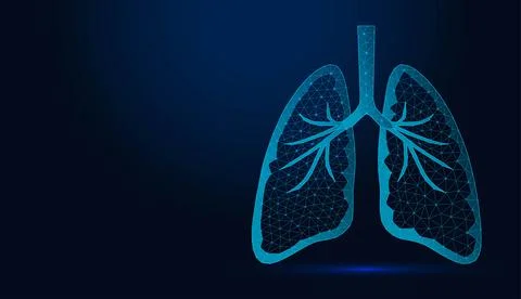 Low poly wireframe human lungs on dark blue background. Stock Illustration