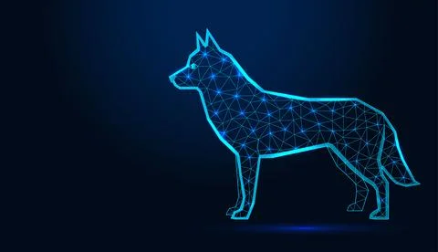 Low poly wireframe husky dog standing profile on dark blue background. Stock Illustration