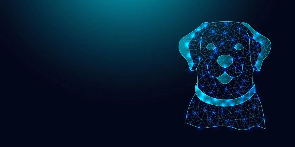 Low poly wireframe labrador retriever dog on dark blue background. Stock Illustration